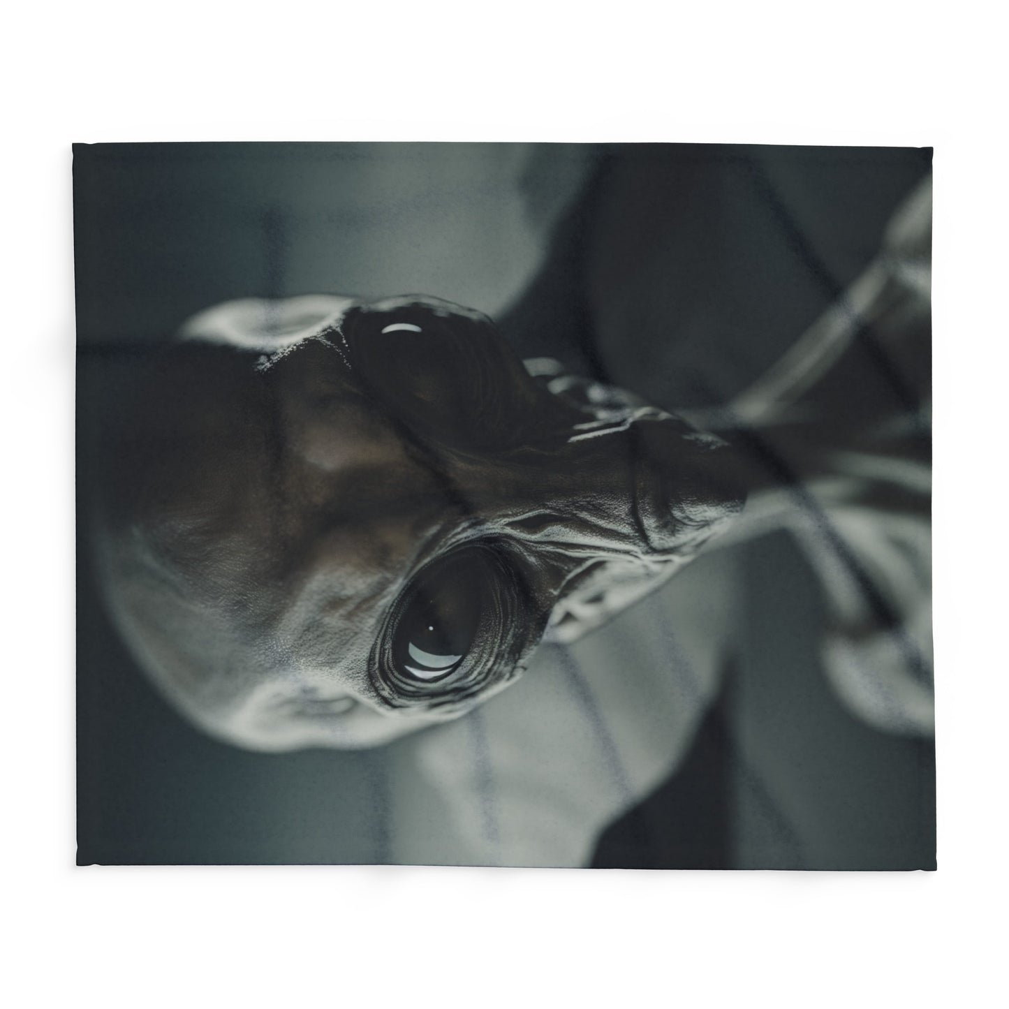 Alien Visitor  -  Arctic Fleece Blanket - USA