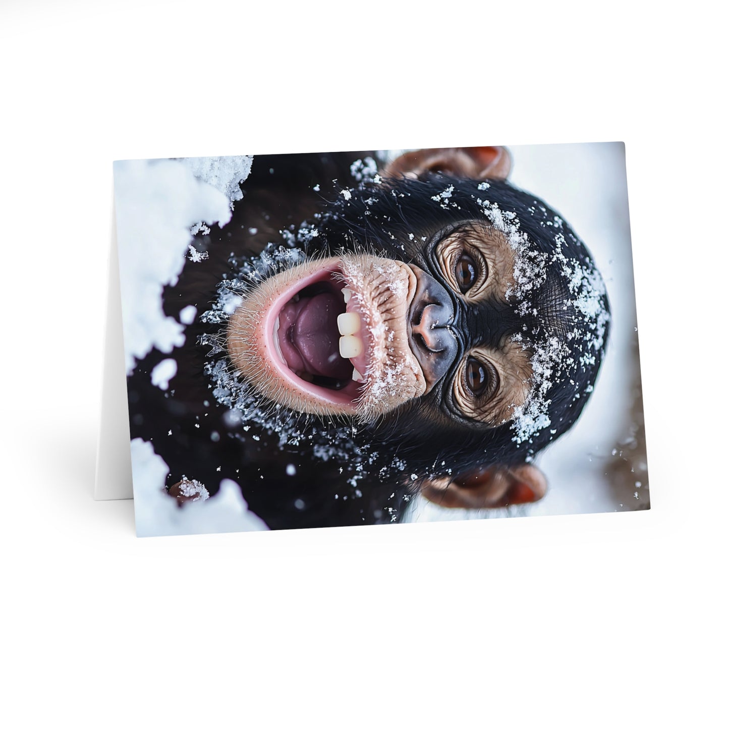 Monkey in The Snow - Blank Card (5 Pack) UK