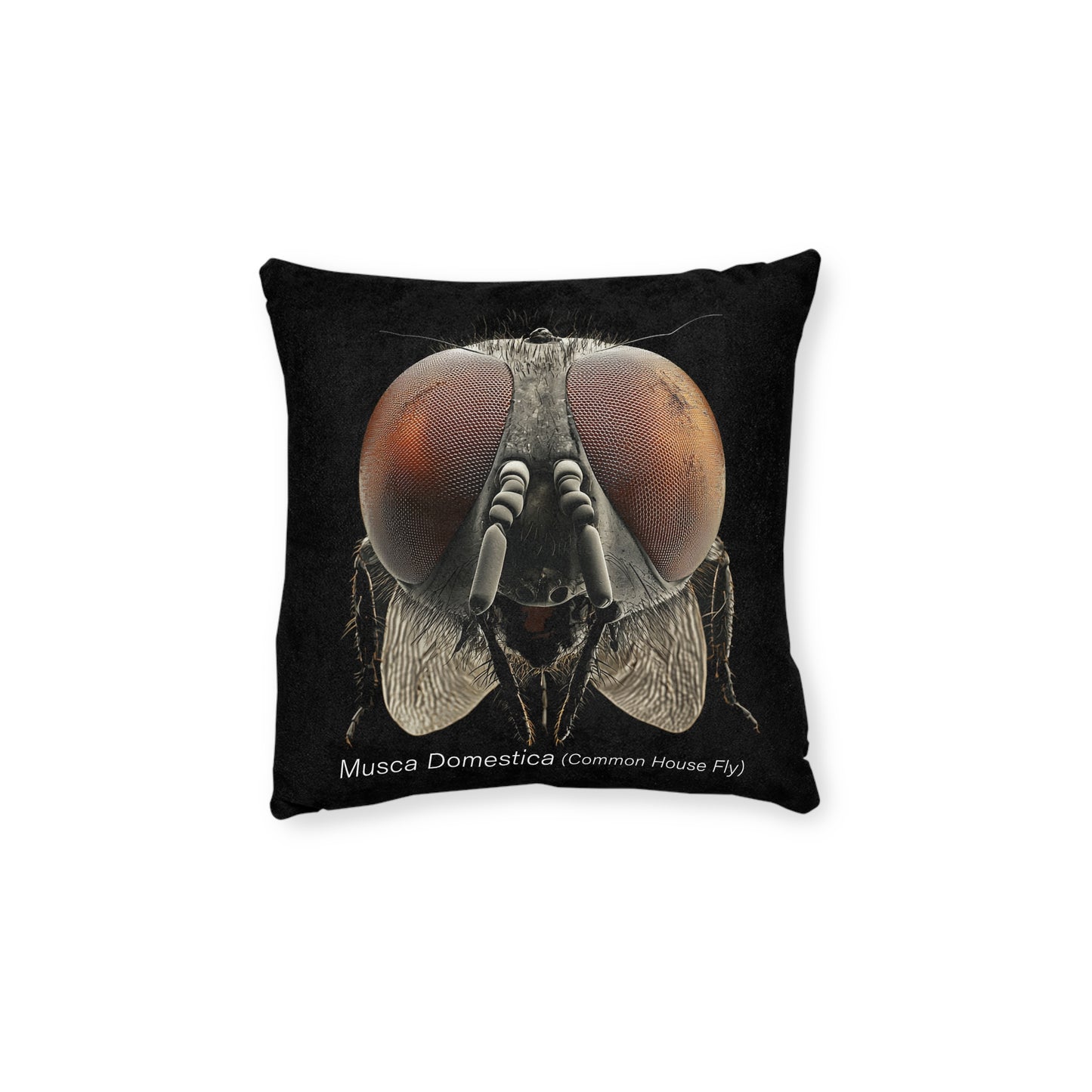 Microscope Ant - Square Pillow - UK