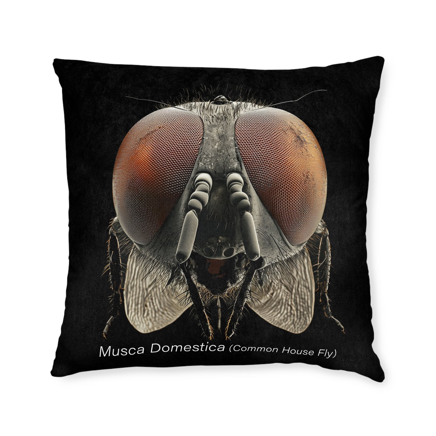 Microscope Ant - Square Pillow - UK