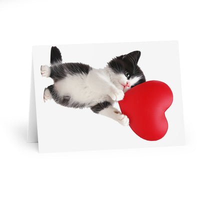 Cute Kitten Holding A Heart - Blank Card (5 Pack) UK