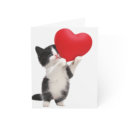 Cute Kitten Greeting Cards - Set of 1, 10, 30, or 50pcs for All Occasions - USA