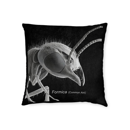 Microscope Ant - Square Pillow - UK