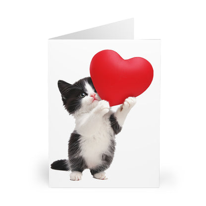 Cute Kitten Holding A Heart - Blank Card (5 Pack) UK