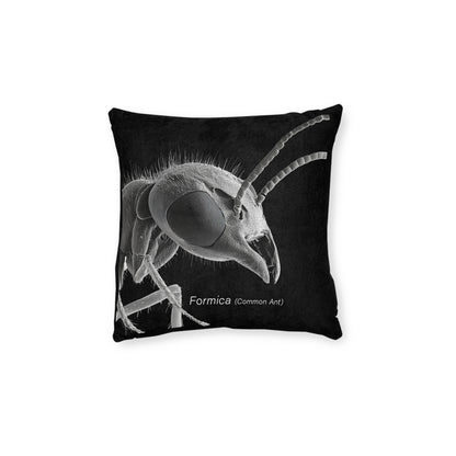 Microscope Ant - Square Pillow - UK