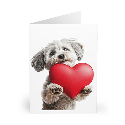 Cute Dog Holding A Heart - Blank Card (5 Pack) UK