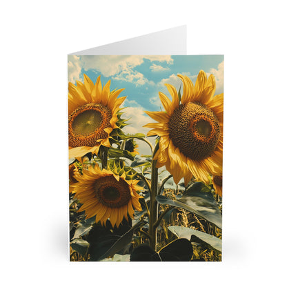 Sunflowers - Blank Card (5 Pack) UK