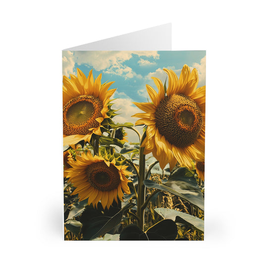 Sunflowers - Blank Card (5 Pack) UK