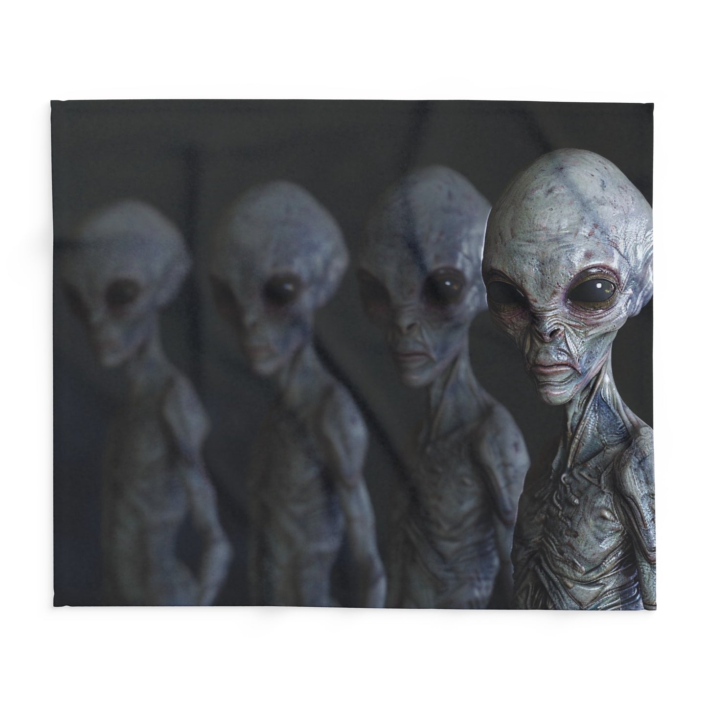 The Greys - Arctic Fleece Blanket - USA