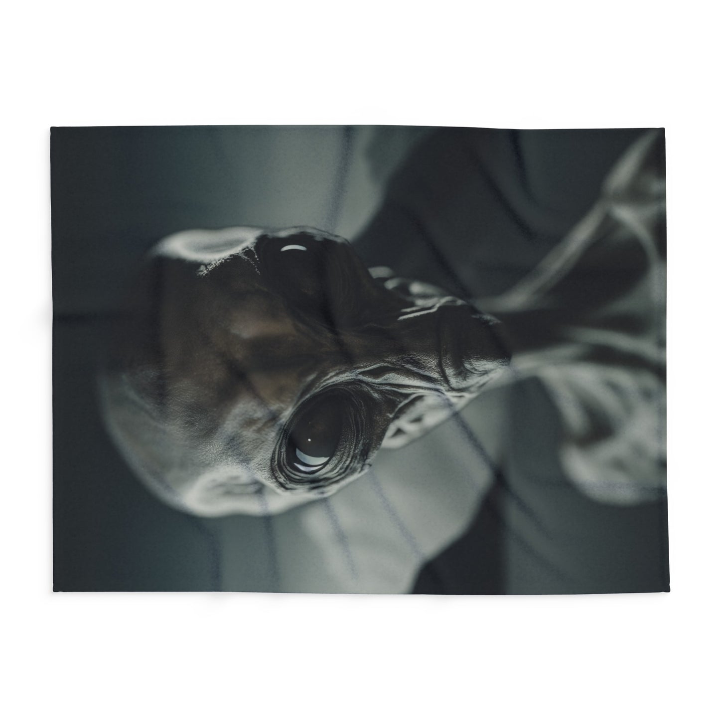 Alien Visitor  -  Arctic Fleece Blanket - USA