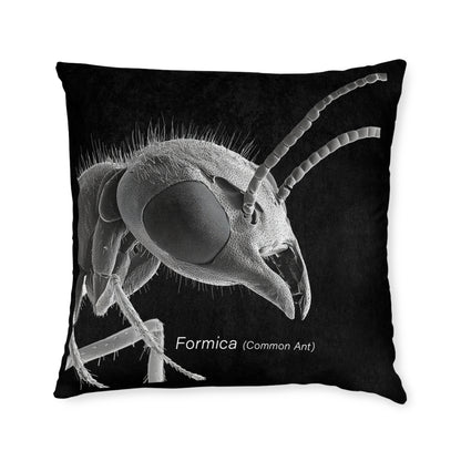 Microscope Ant - Square Pillow - UK