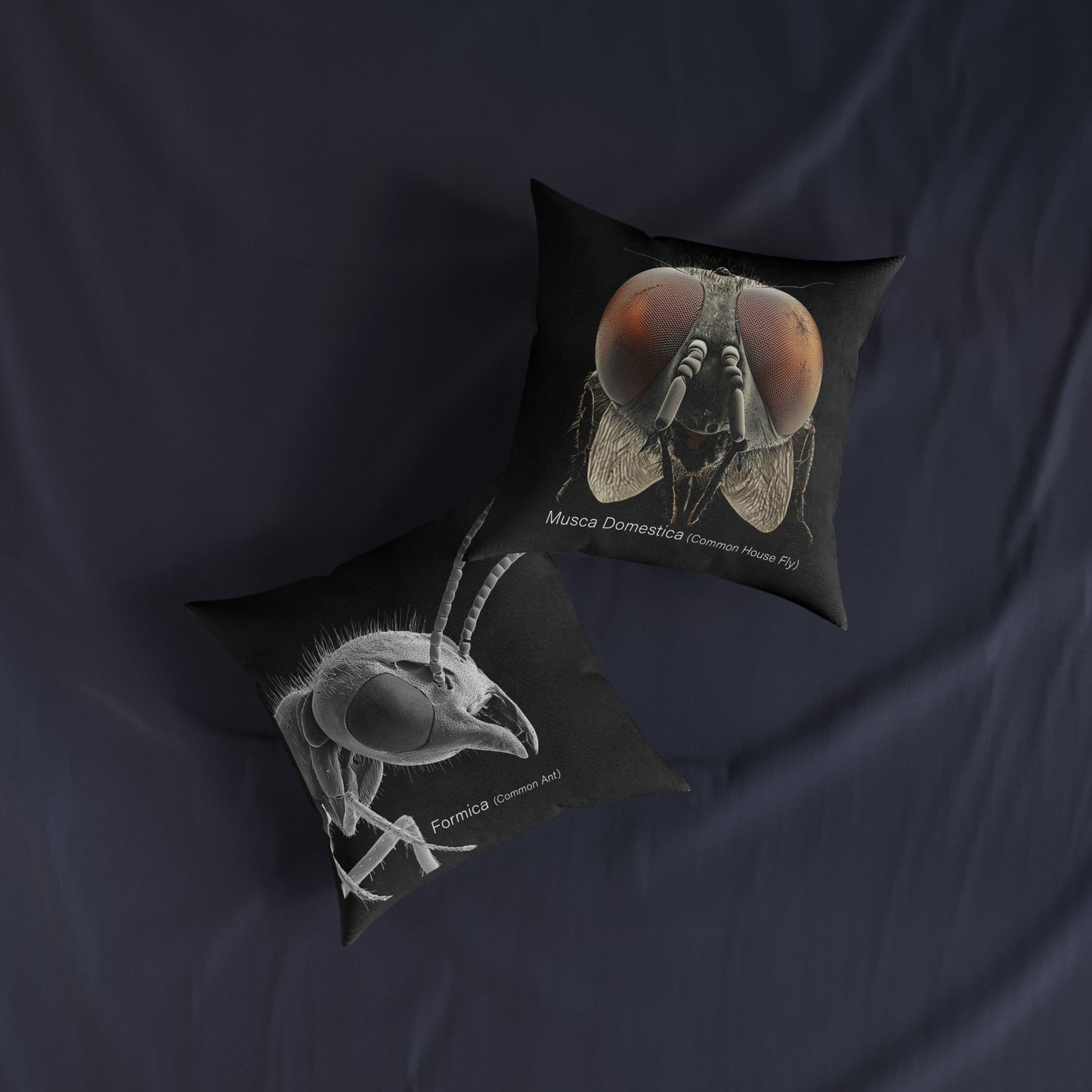 Microscope Ant - Square Pillow - UK