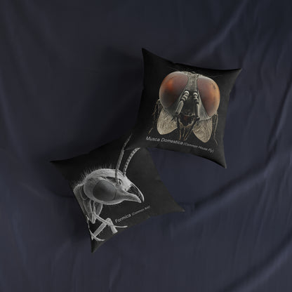 Microscope Ant - Square Pillow - UK