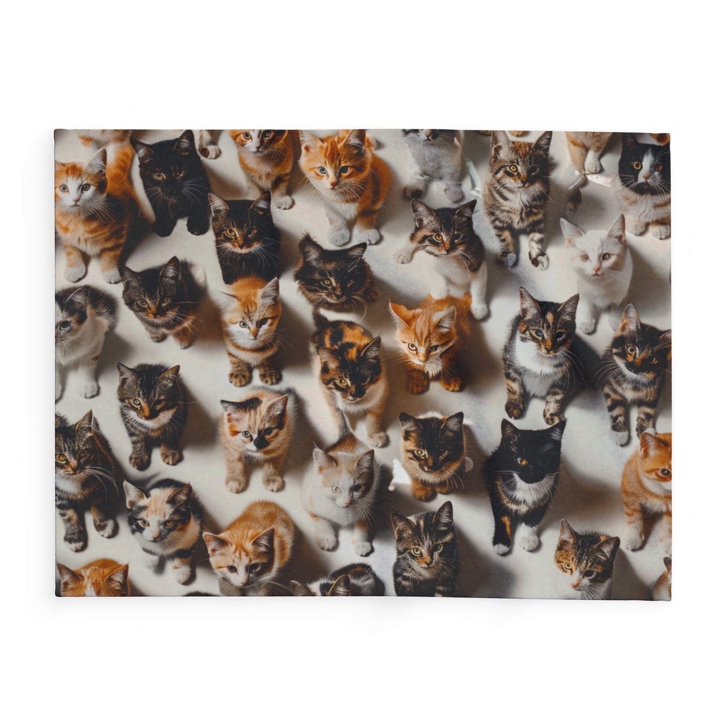 Cats Dinnertime Arctic Fleece Blanket - UK, USA