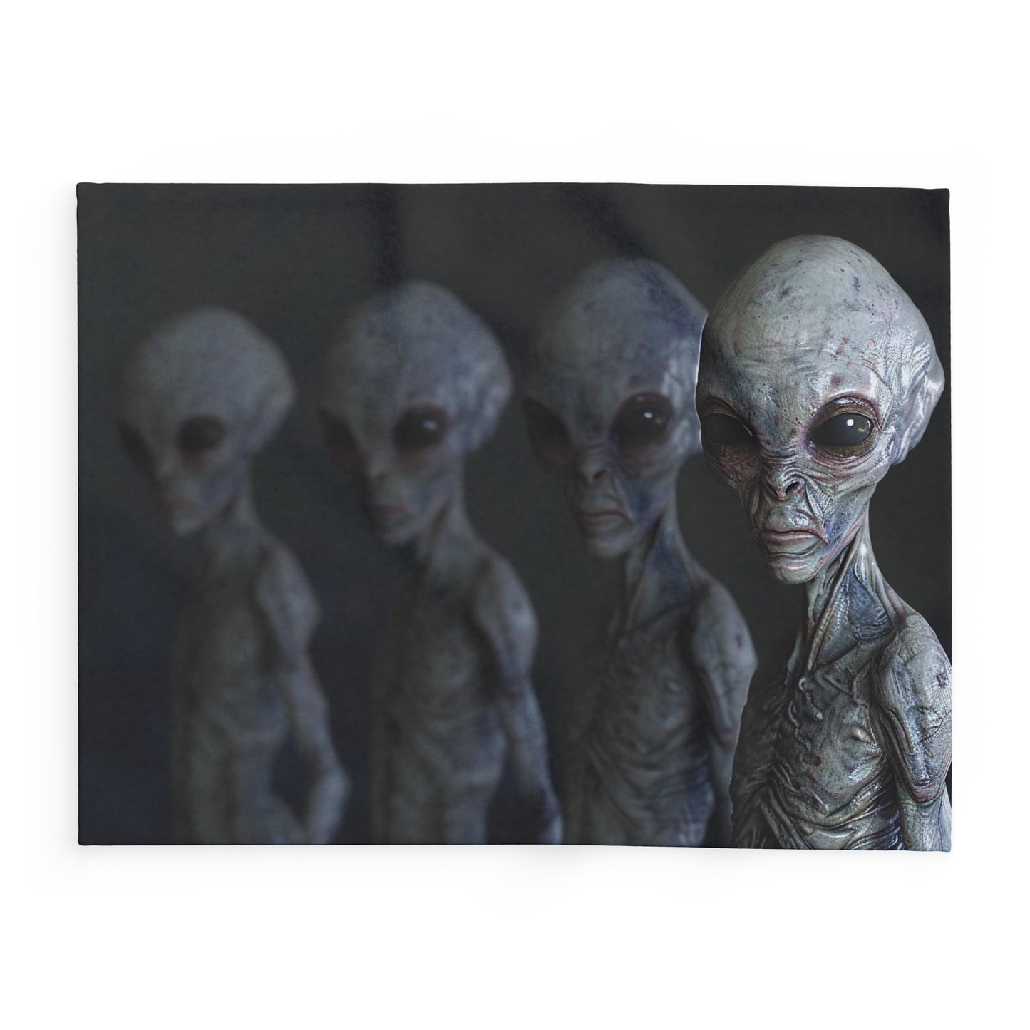 The Greys - Arctic Fleece Blanket - USA