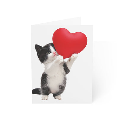 Cute Kitten Greeting Cards - Set of 1, 10, 30, or 50pcs for All Occasions - USA