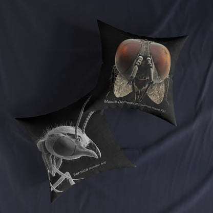 Microscope Ant - Square Pillow - UK